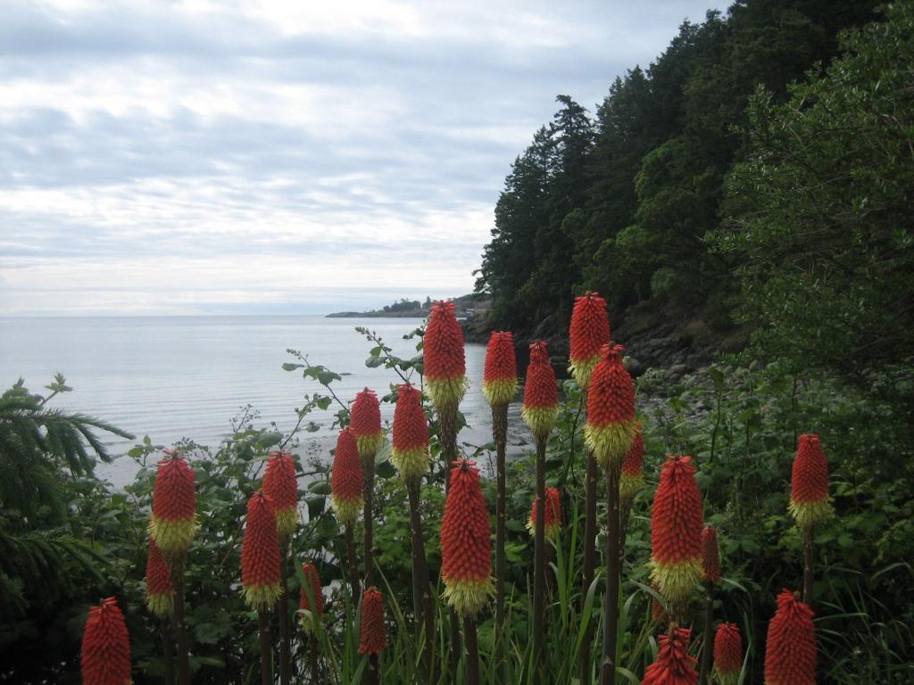 The Lodge At Weir'S Beach Metchosin 外观 照片